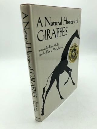 Item #7270 A Natural History of Giraffes. Dorcas MacClintock