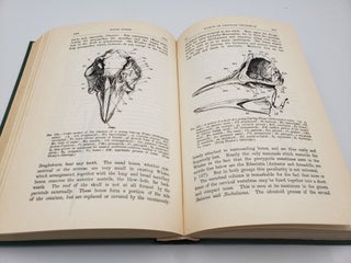 The Cambridge Natural History: Mammalia (Volume 10)